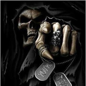 Meet your Posher, Bruce